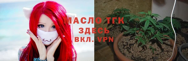 эйфоретик Горняк