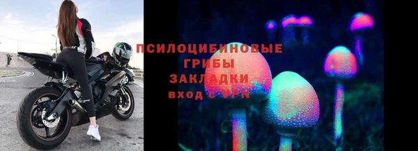 COCAINE Горно-Алтайск