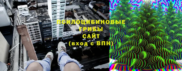 эйфоретик Горняк