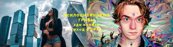 эйфоретик Горняк