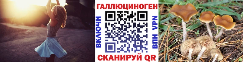 купить наркоту  Очёр  Псилоцибиновые грибы прущие грибы 
